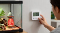 3 Best Timers for Reptile Heat Lamps in 2026