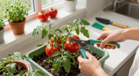 30 Best Garden Deals That Are Half Price Or Better This July 4 Weekend