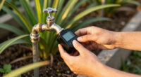 How to Program a Hose Timer for Deep, Healthy Watering